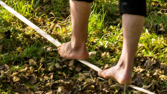 Coaching Therapie Coaching Therapie